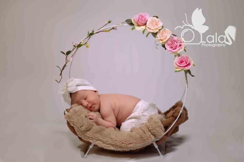 portfolio/042_copy_5olw