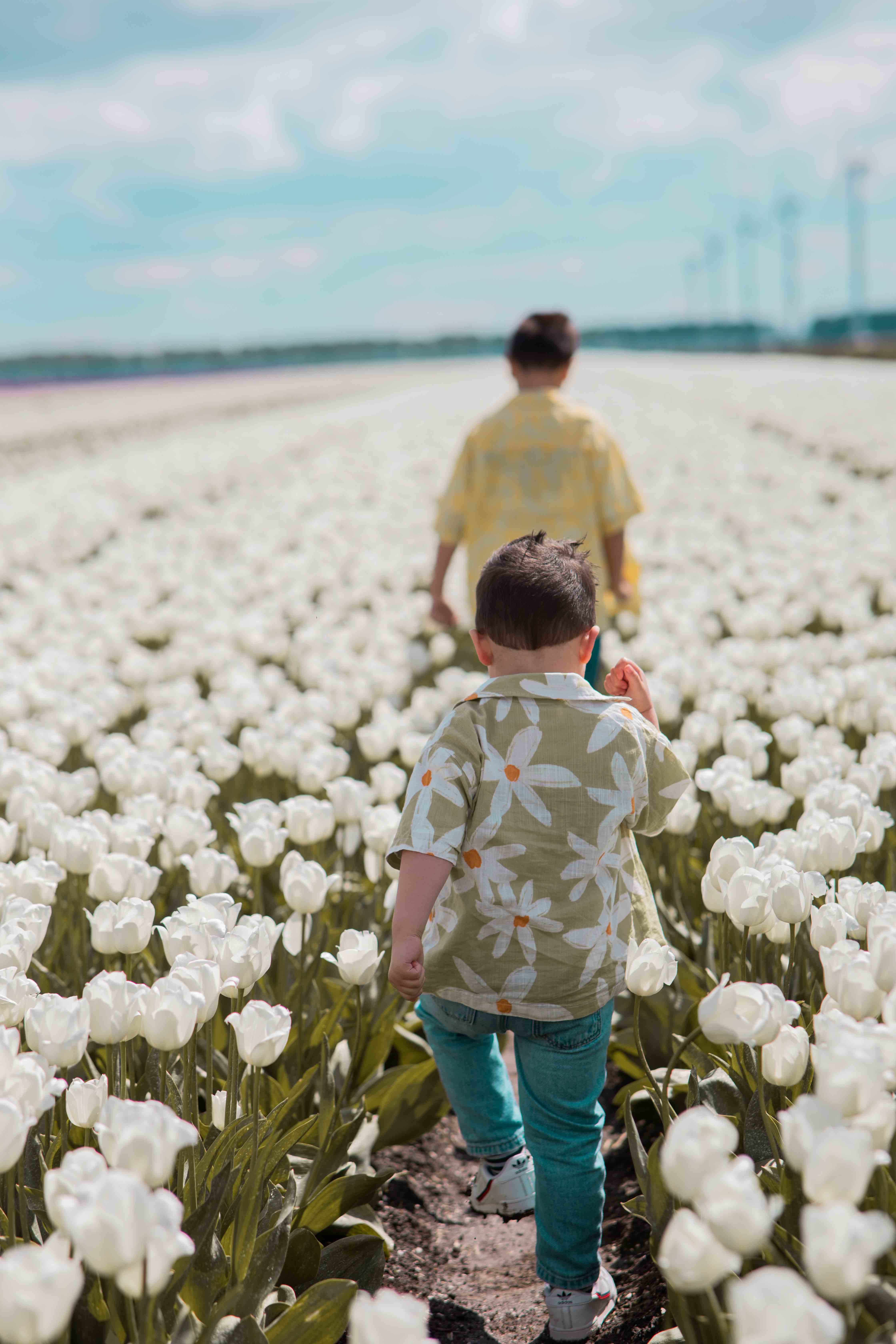 portfolio/sp15_copy_eisr